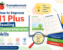 How to Improve 11 Plus Reading Comprehension Skills for grammar school success